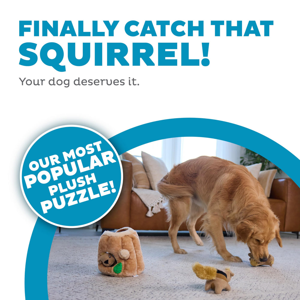 Outward Hound Squeakin Squirrels 3-pack—removable squeaks to boost chase play.