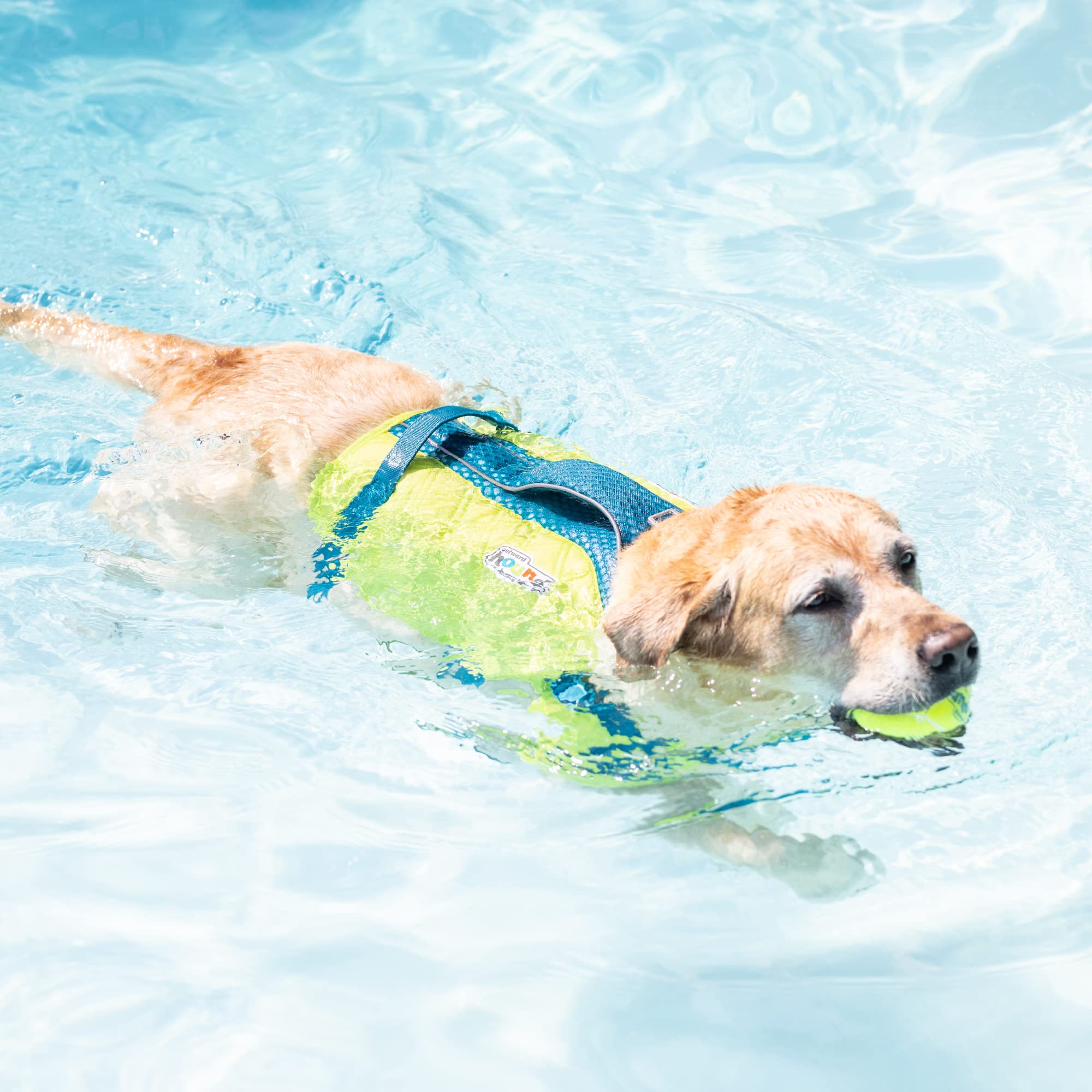 Outward Hound Standley Sport small adjustable straps ensure snug fit.