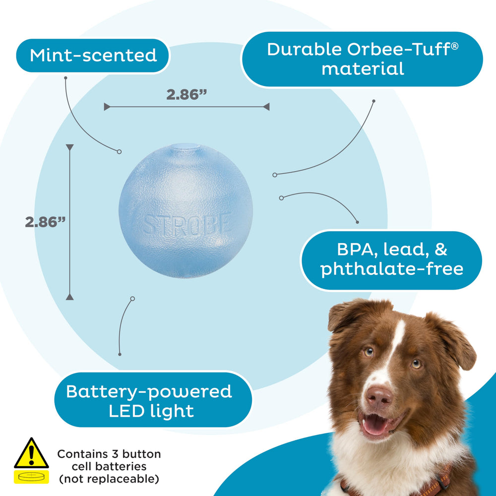 Outward Hound Strobe LED Ball blue, closeup shows mint scent.