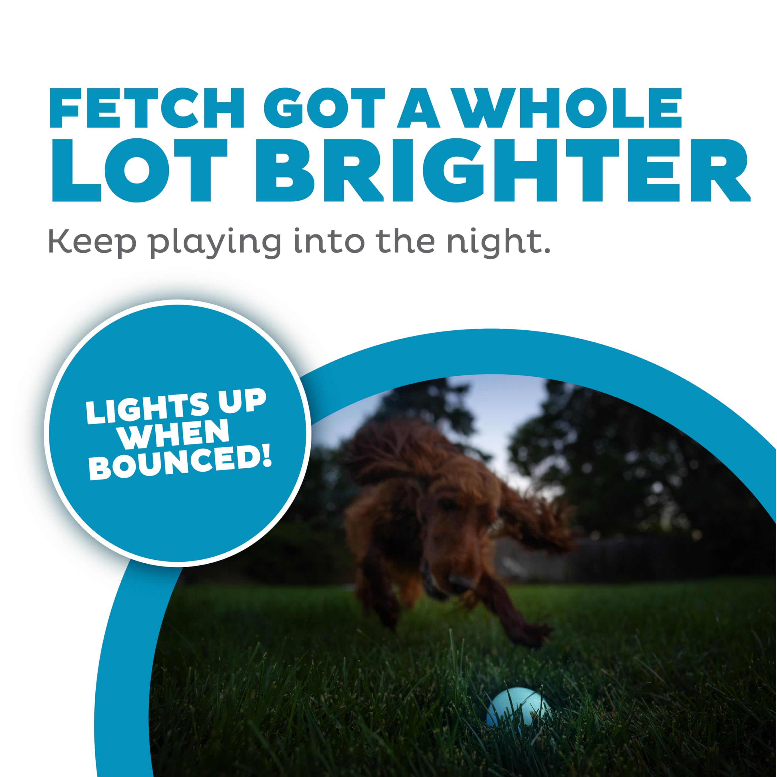 Outward Hound Strobe LED Ball blue lights up for night play.