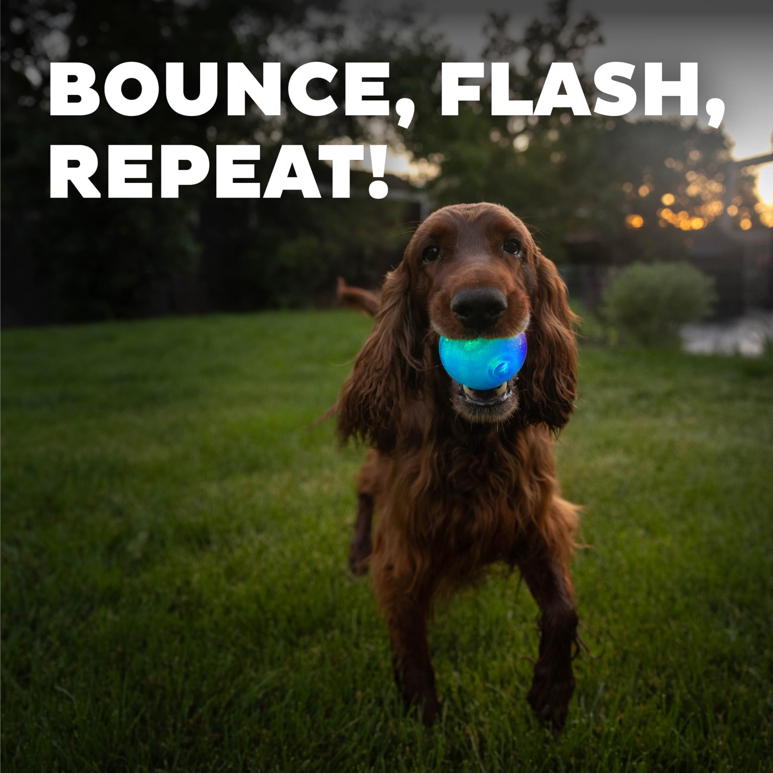 Outward Hound Strobe LED Ball blue, Orbee-Tuff material for safe durability.