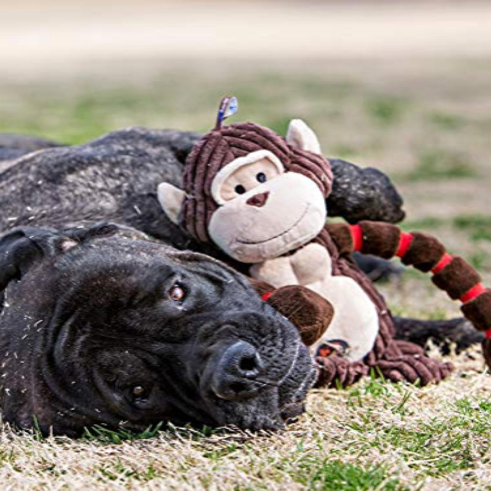 Outward Hound Thunda Tugga Durable seams support longer play.
