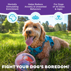 Outward Hound Topsy Treat Ball dog engaged in nose work and focus