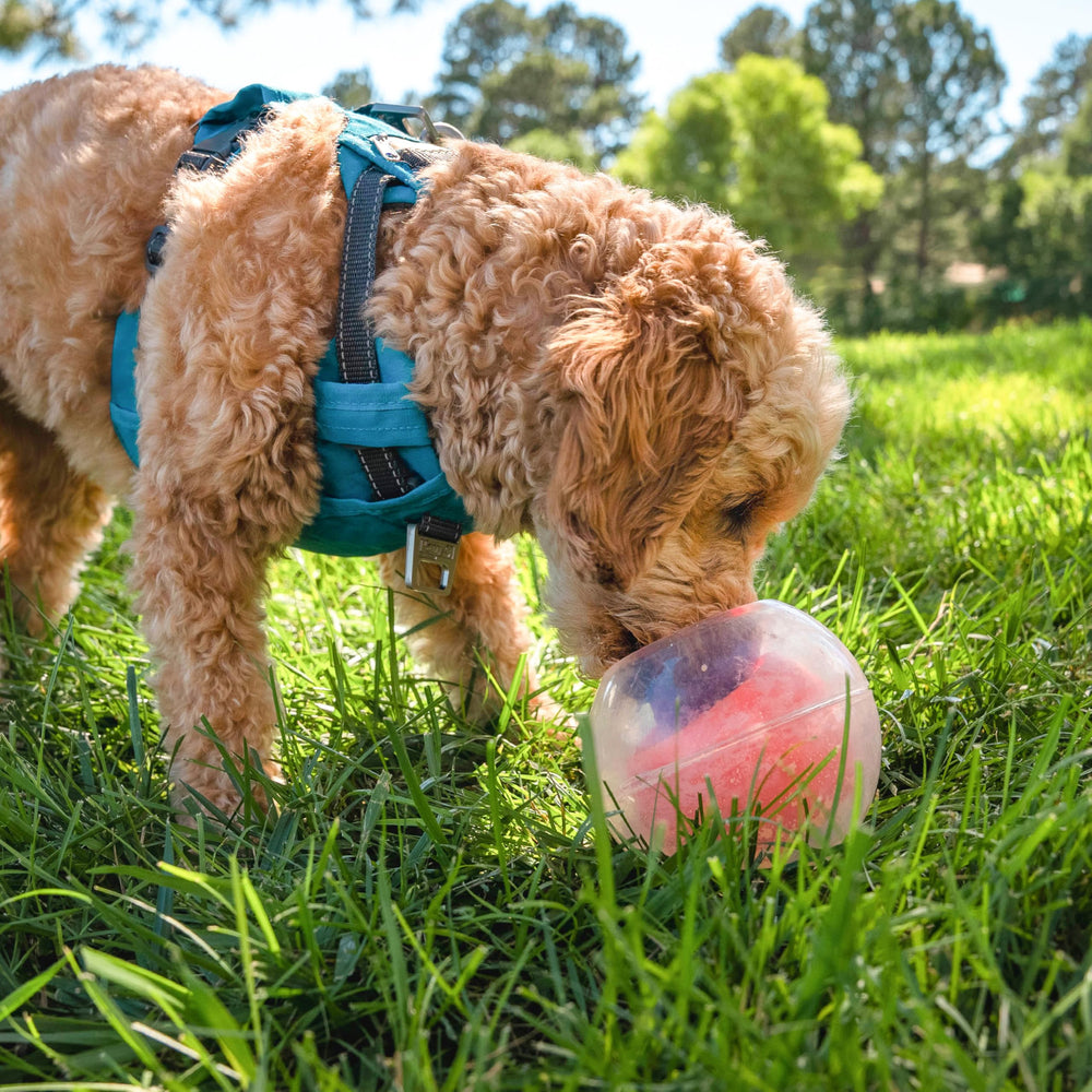 Outward Hound Topsy Treat Ball durable design for dogs of all sizes