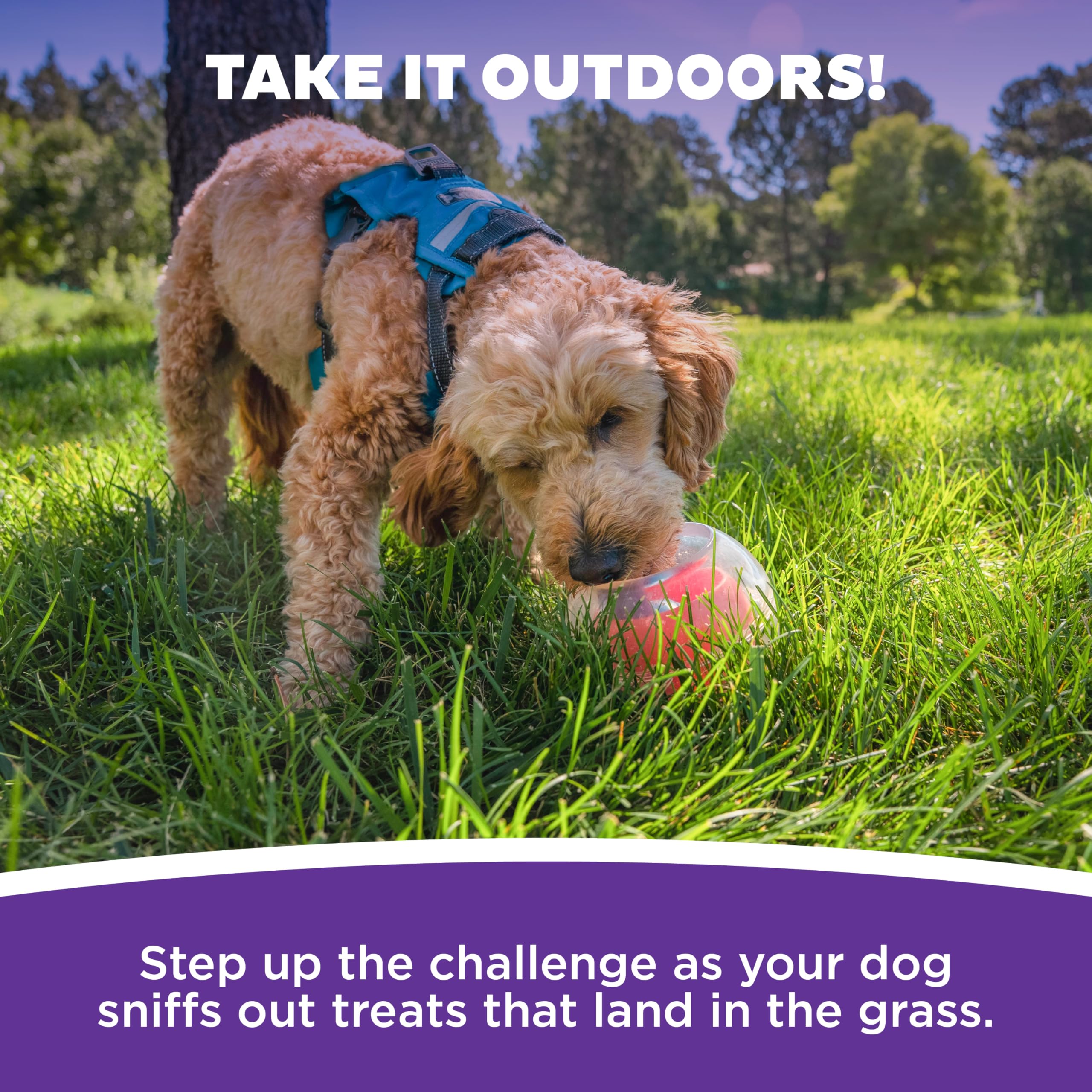 Outward Hound Topsy Treat Ball using a 2.5 inch tennis ball for added challenge