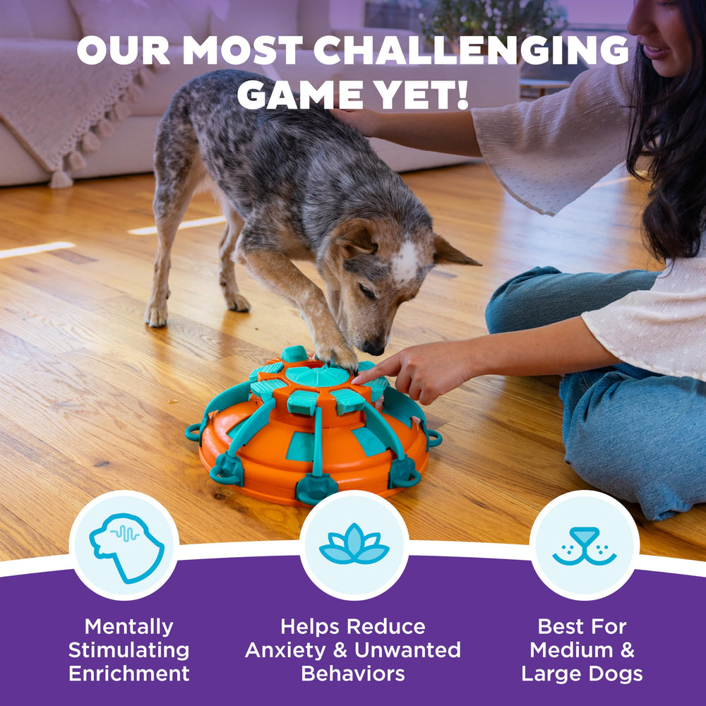 Outward Hound Tower of Treats Level 4 drawer reveal action engages curious dogs