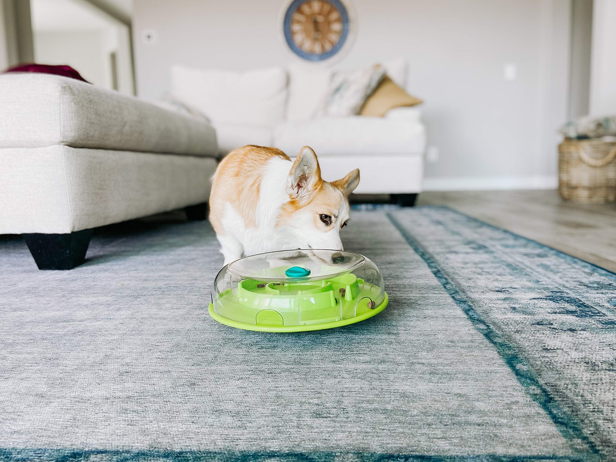 Outward Hound Wobble Bowl slow-feeder design slows mealtime while boosting mental engagement.