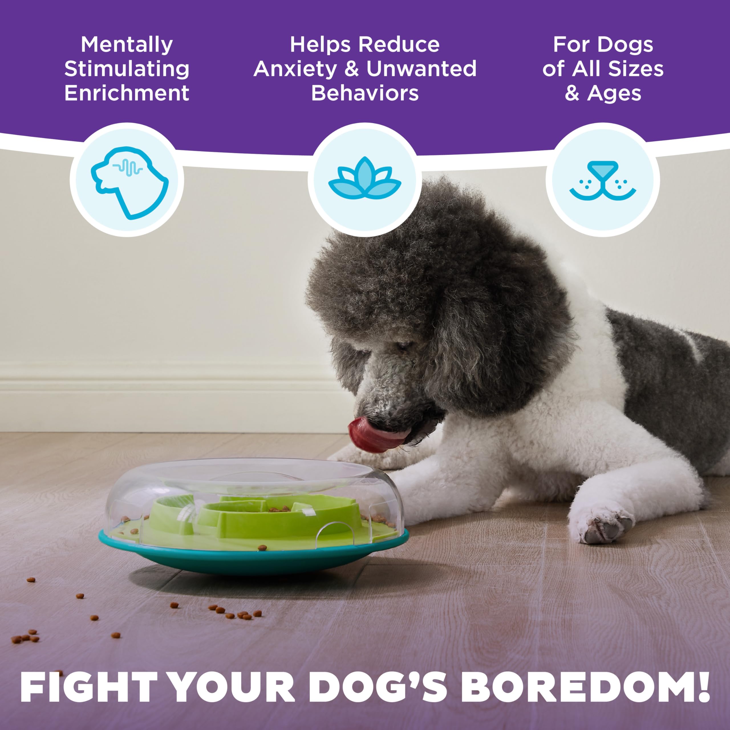 Outward Hound Wobble Bowl removable lid for easy refills and cleaning.
