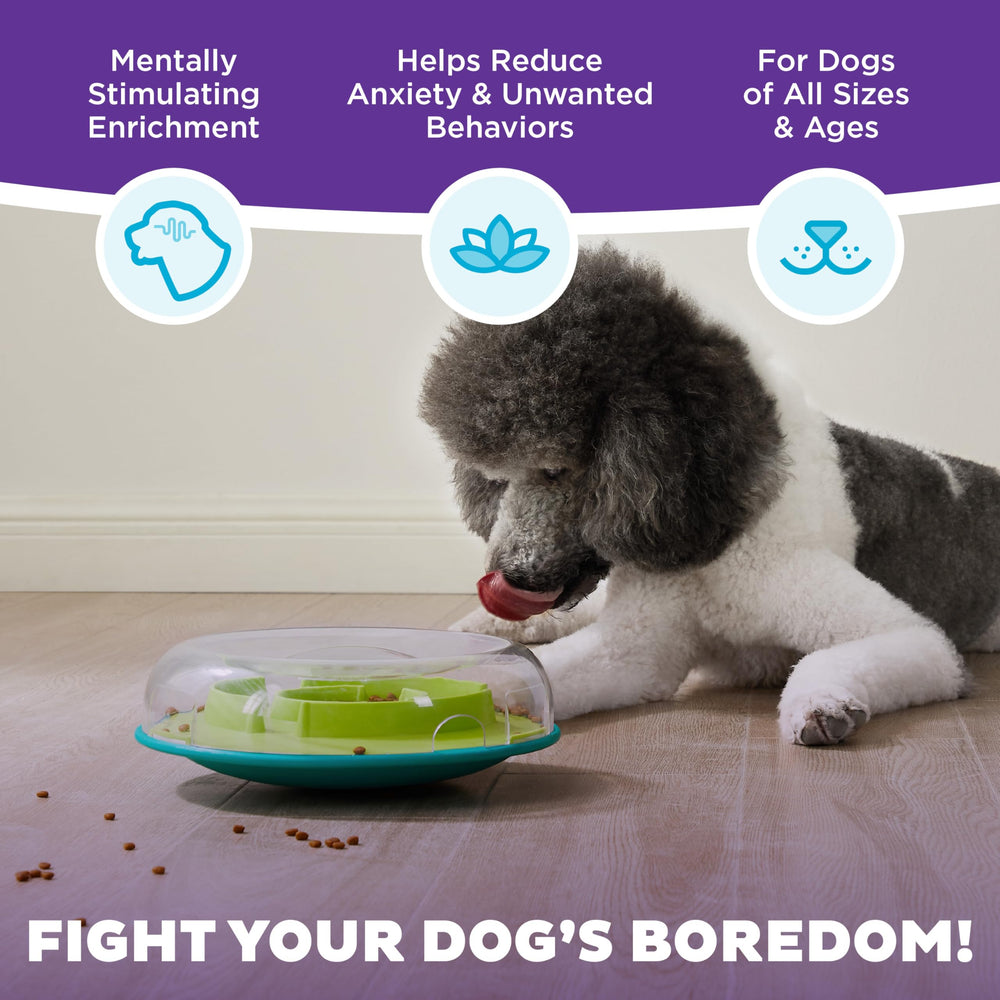 Outward Hound Wobble Bowl removable lid for easy refills and cleaning.