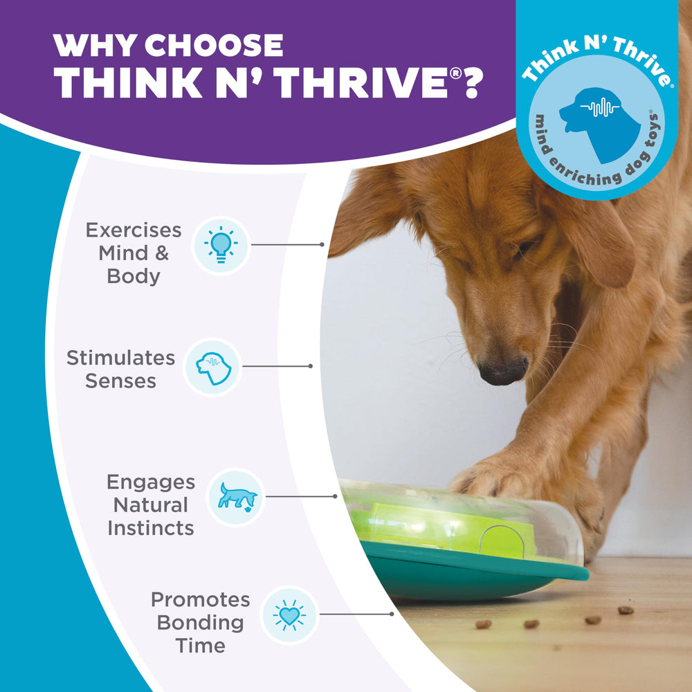 Outward Hound Wobble Bowl durable plastic stands up to curious chewers.