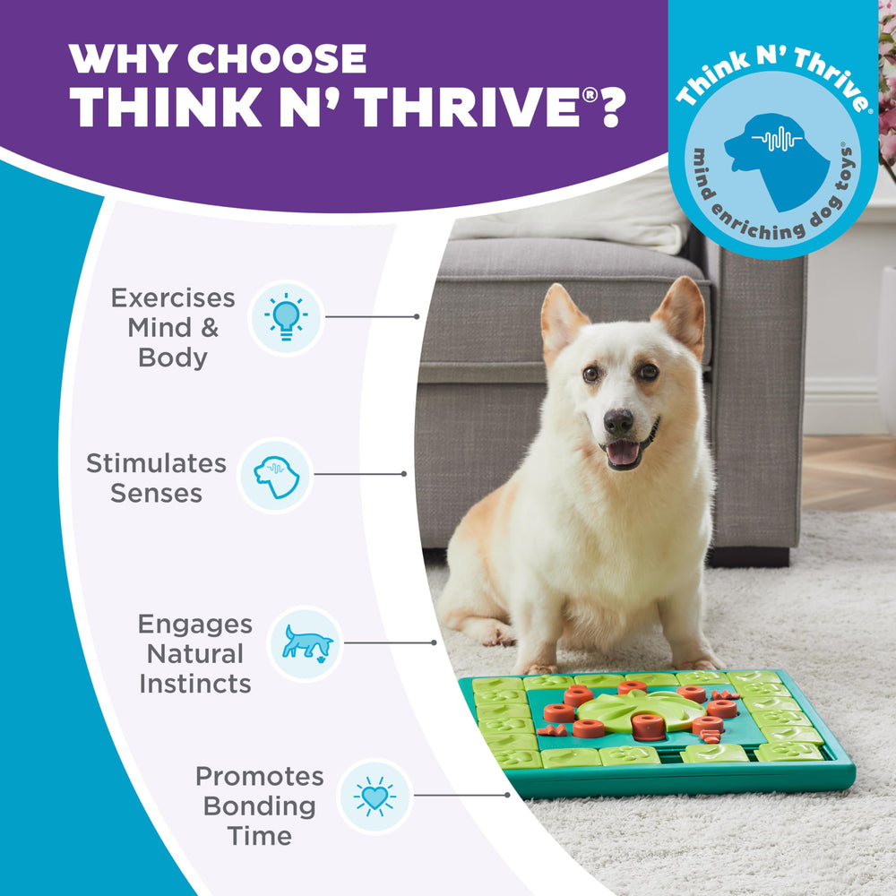 Outward Hound Multipuzzle dishwasher-safe design supports easy cleanup after play.