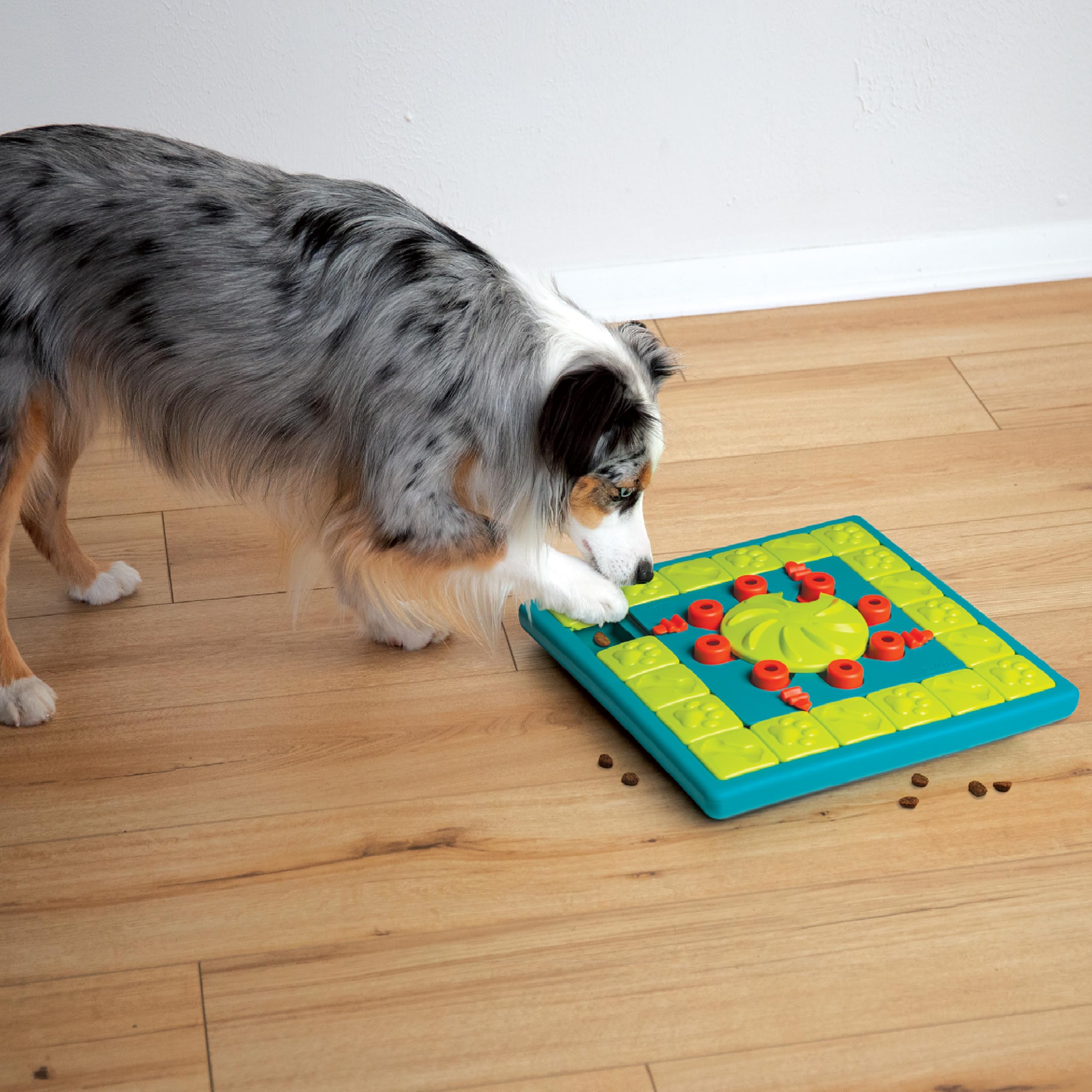 Outward Hound Multipuzzle Level 4 Expert challenges dogs with progressive difficulty.