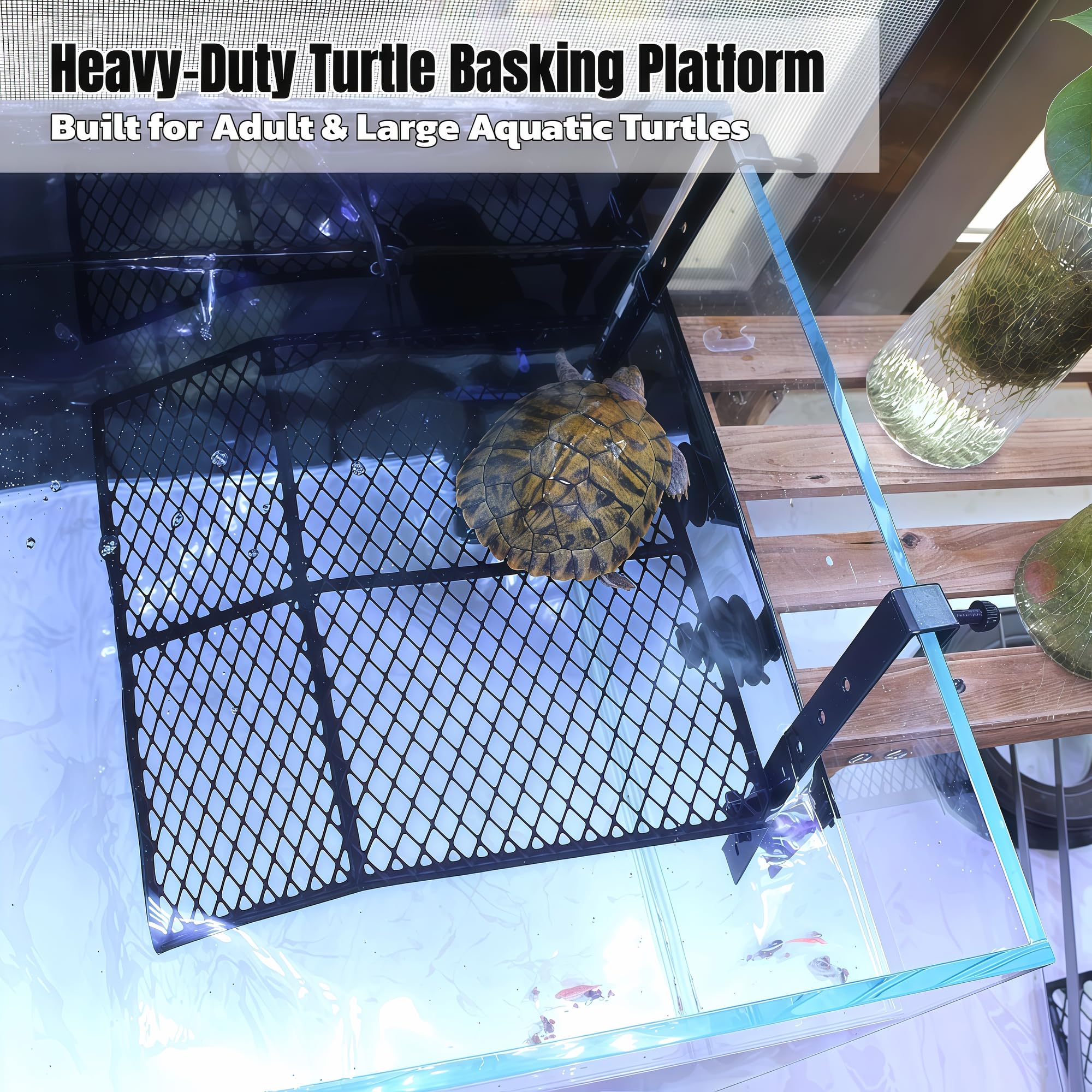 Ovimyne turtle basking platform side view highlights dual hooks and stability
