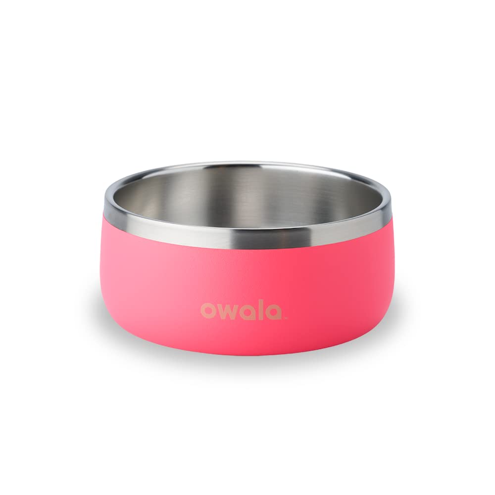 Owala pet bowl with durable stainless steel in pink for long-lasting use.
