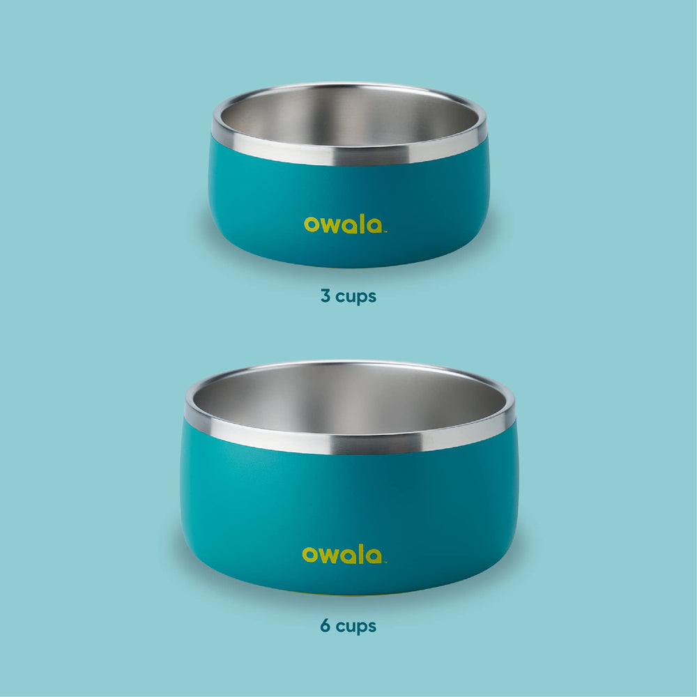 Owala pet bowl with non-slip base keeps water and food steady.