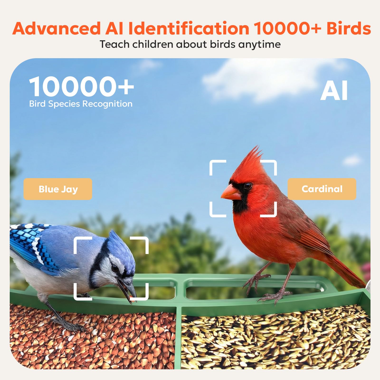 Owltron window feeder camera AI recognition identifies species with real-time alerts.