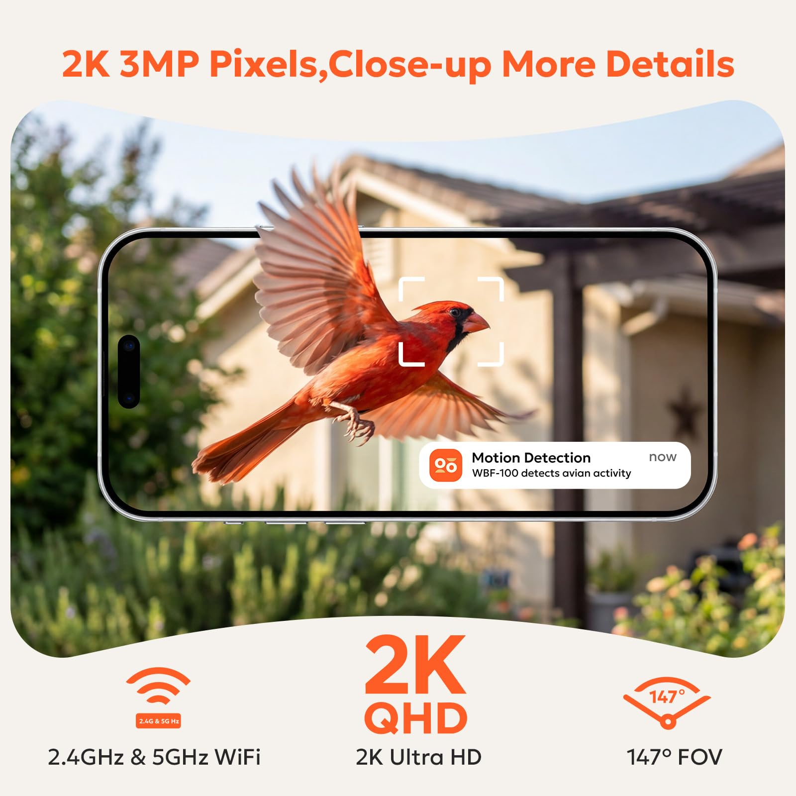 Owltron window feeder camera live view delivers vivid birds in 2K HD.