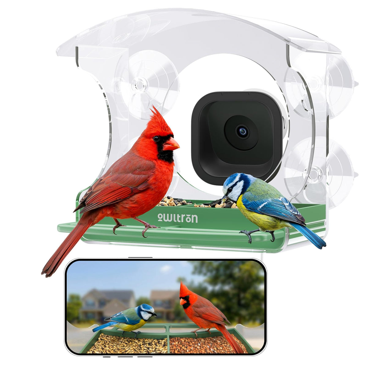 Owltron window feeder camera setup shows easy installation for indoor bird watching.