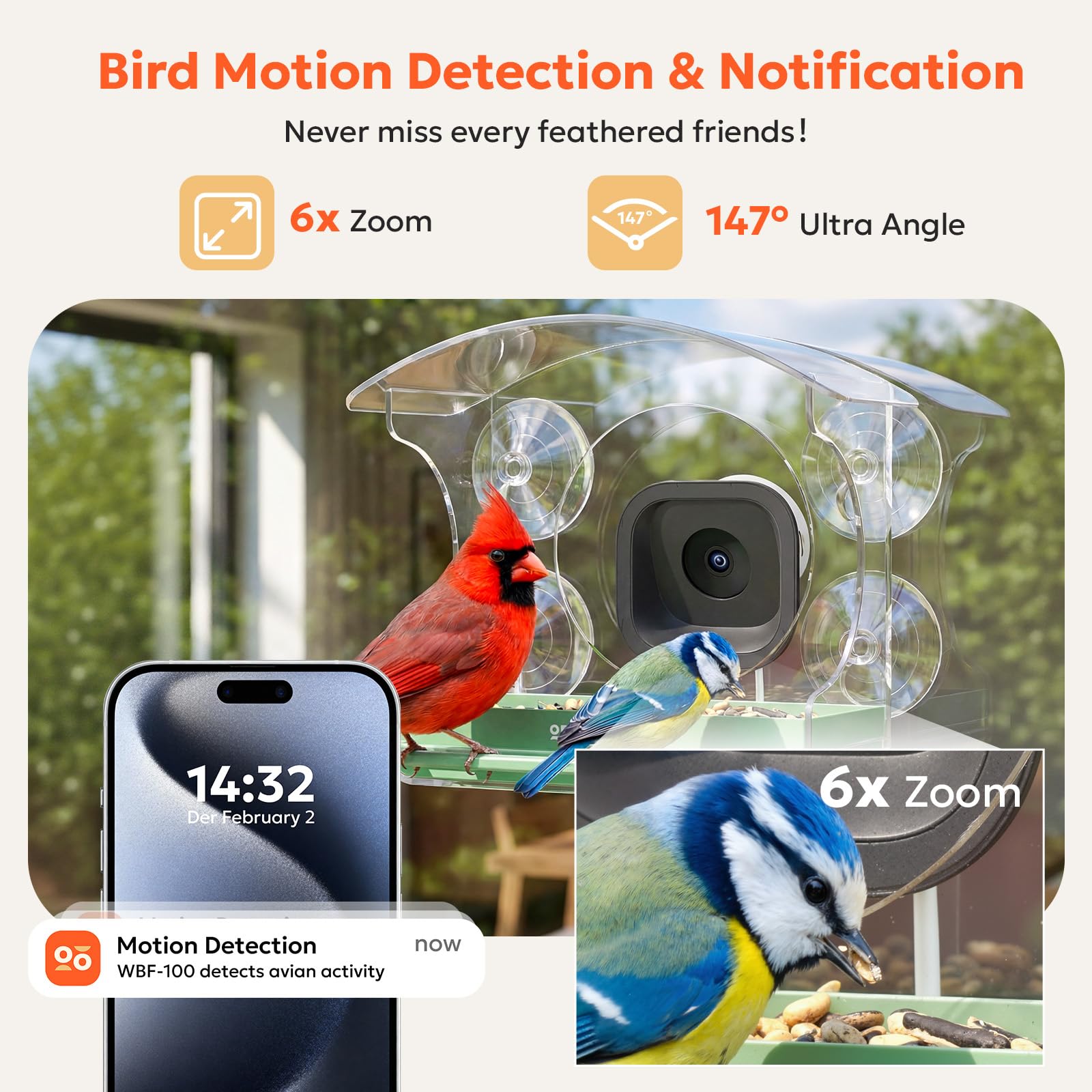 Owltron window feeder dual-band WiFi enables smooth streaming.