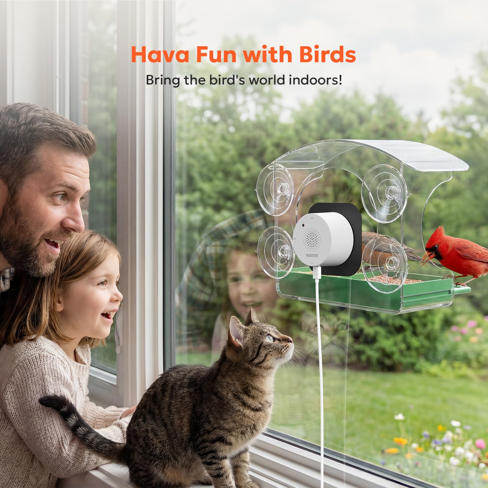 Owltron window feeder suction cups secure to glass without disturbance.