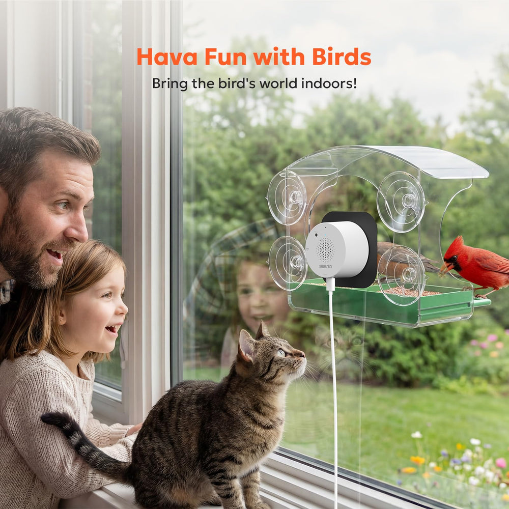 Owltron window feeder suction cups secure to glass without disturbance.