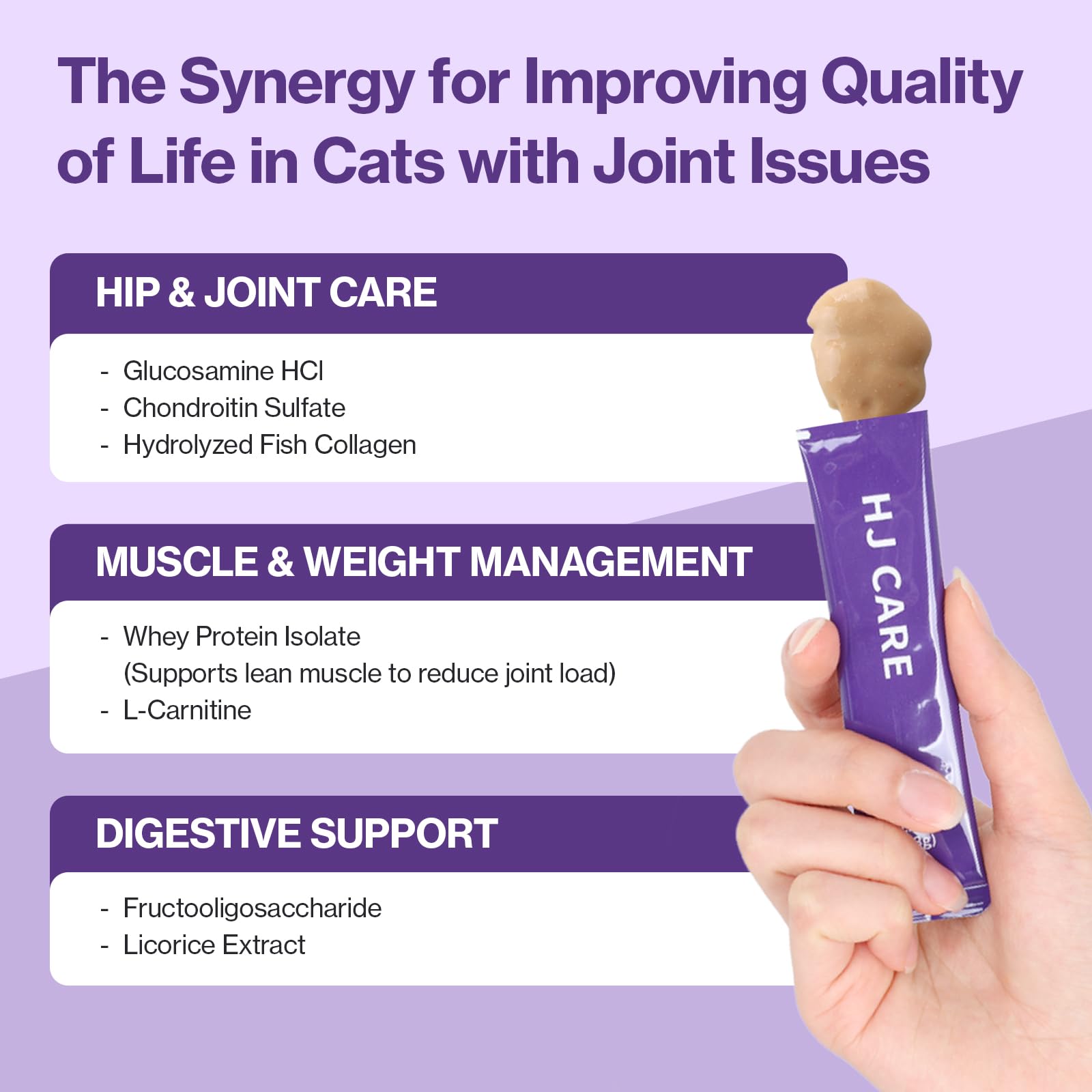 Owner-friendly feeding moment with Doctor By HJ Care treat