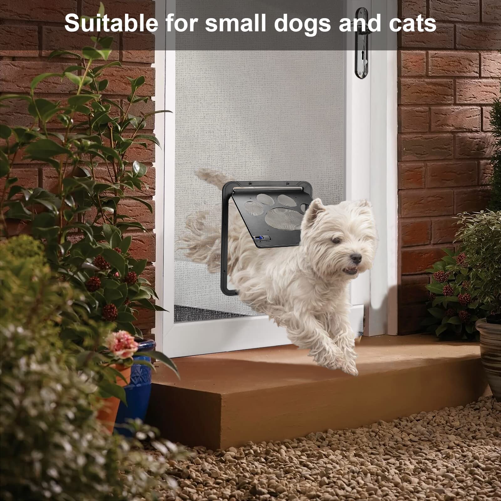 Ownpets ideal for small dogs and cats in everyday scenarios.