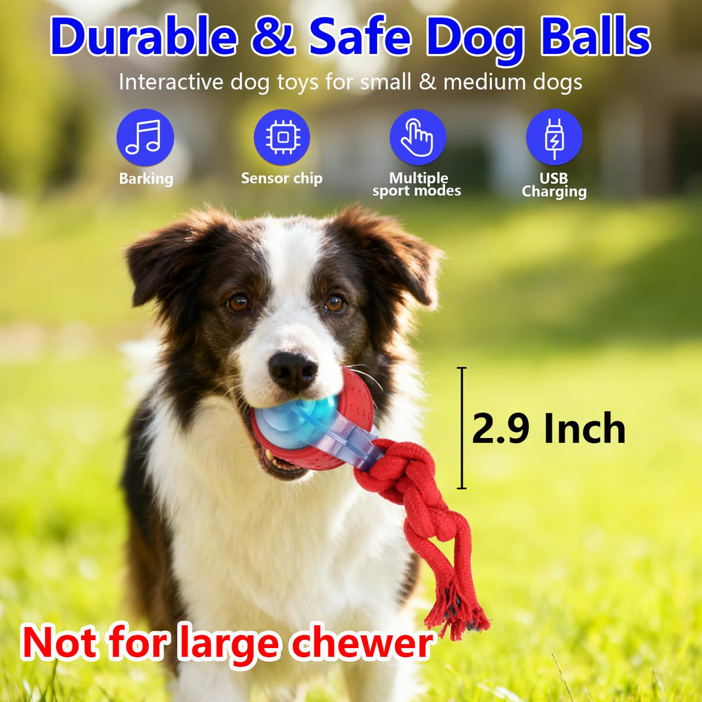 Oxawo 29inch ball in action keeps dogs engaged