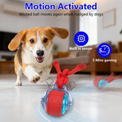 Oxawo Busy Ball with rope attachment triggering playful interactions