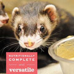 Oxbow Carnivore Care powder mix ready to blend for appetite support.
