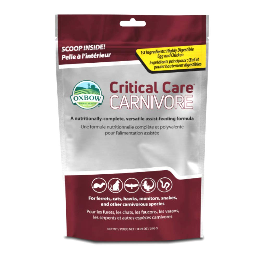 Oxbow Carnivore Care powder in a scoop, supporting easy digestion and energy for carnivores