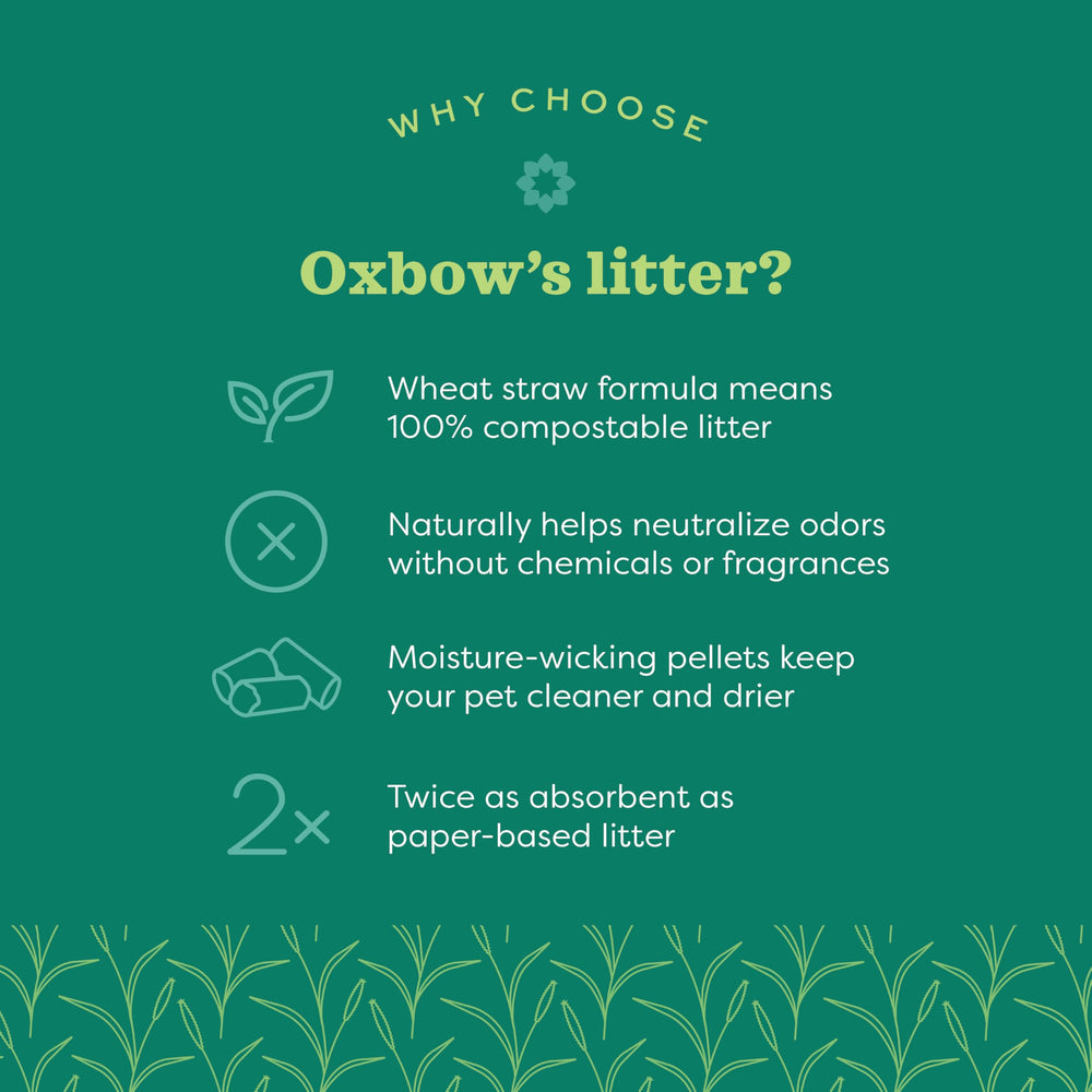 Oxbow Eco Straw Litter displayed as clumpable and scoopable for easy cleaning.