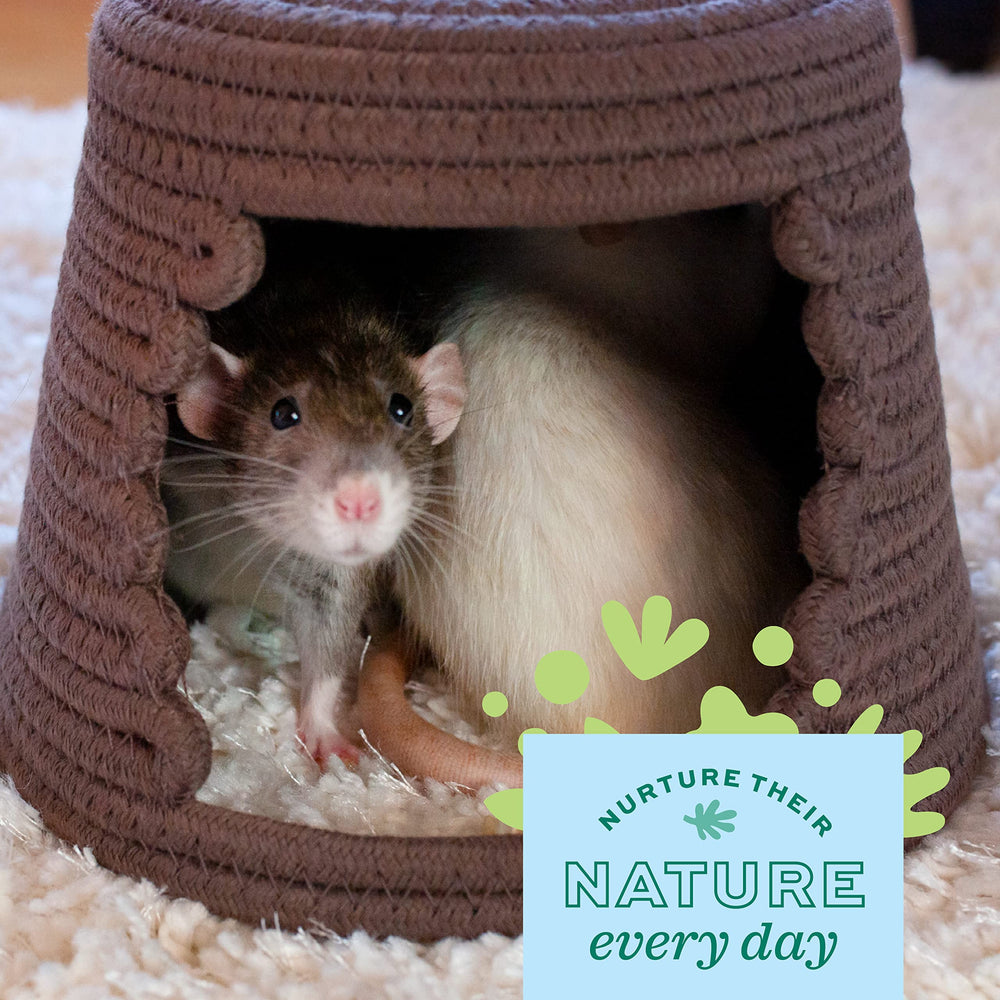 Oxbow Enriched Life Cozy Cave machine washable—keeps habitat hygienic with minimal effort.