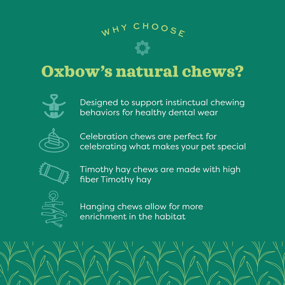 Oxbow Enriched Life dangly pack-bulrush-chew, natural fibers support instinctual chewing.