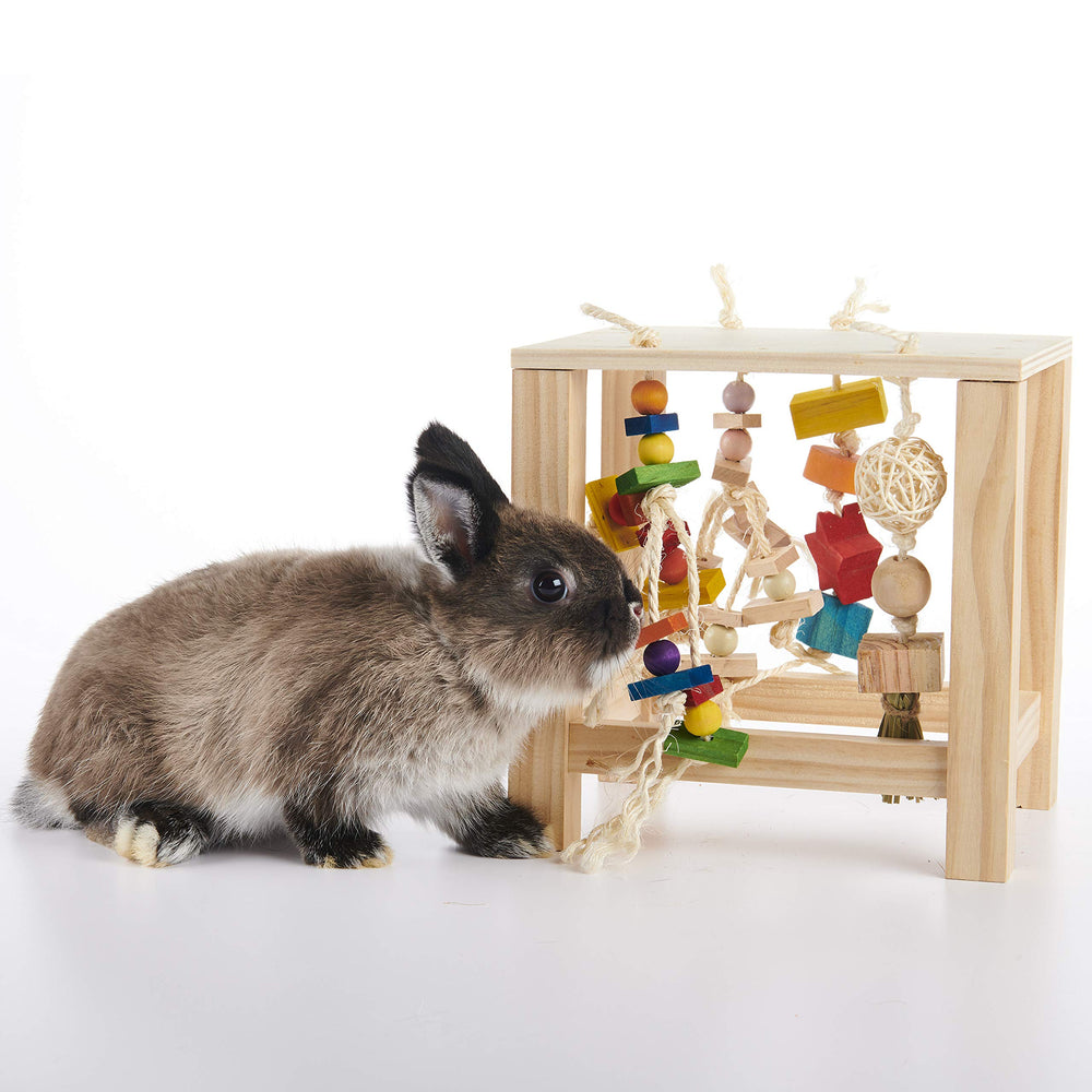 Oxbow Enriched Life Play Table multi-pet use supports shared enrichment.