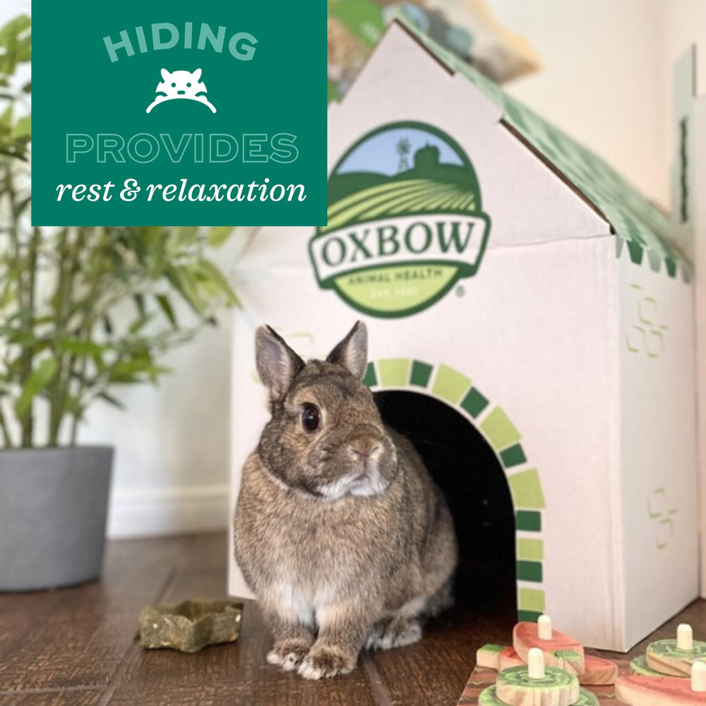 Oxbow Enriched Life Timothy Hay Bungalow boosts habitat enrichment with edible, interactive play.