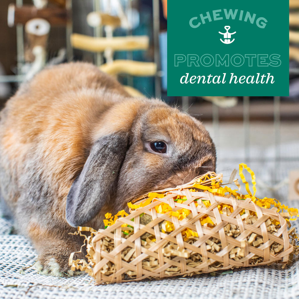 Oxbow Enriched Life Timothy Party Pack textured pad offers tactile enrichment and daily play.