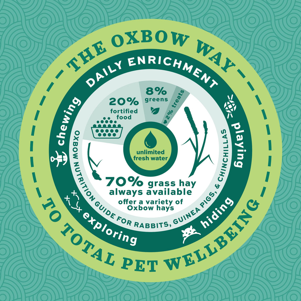 Oxbow Essentials 10 lb bag ready for everyday feeding.