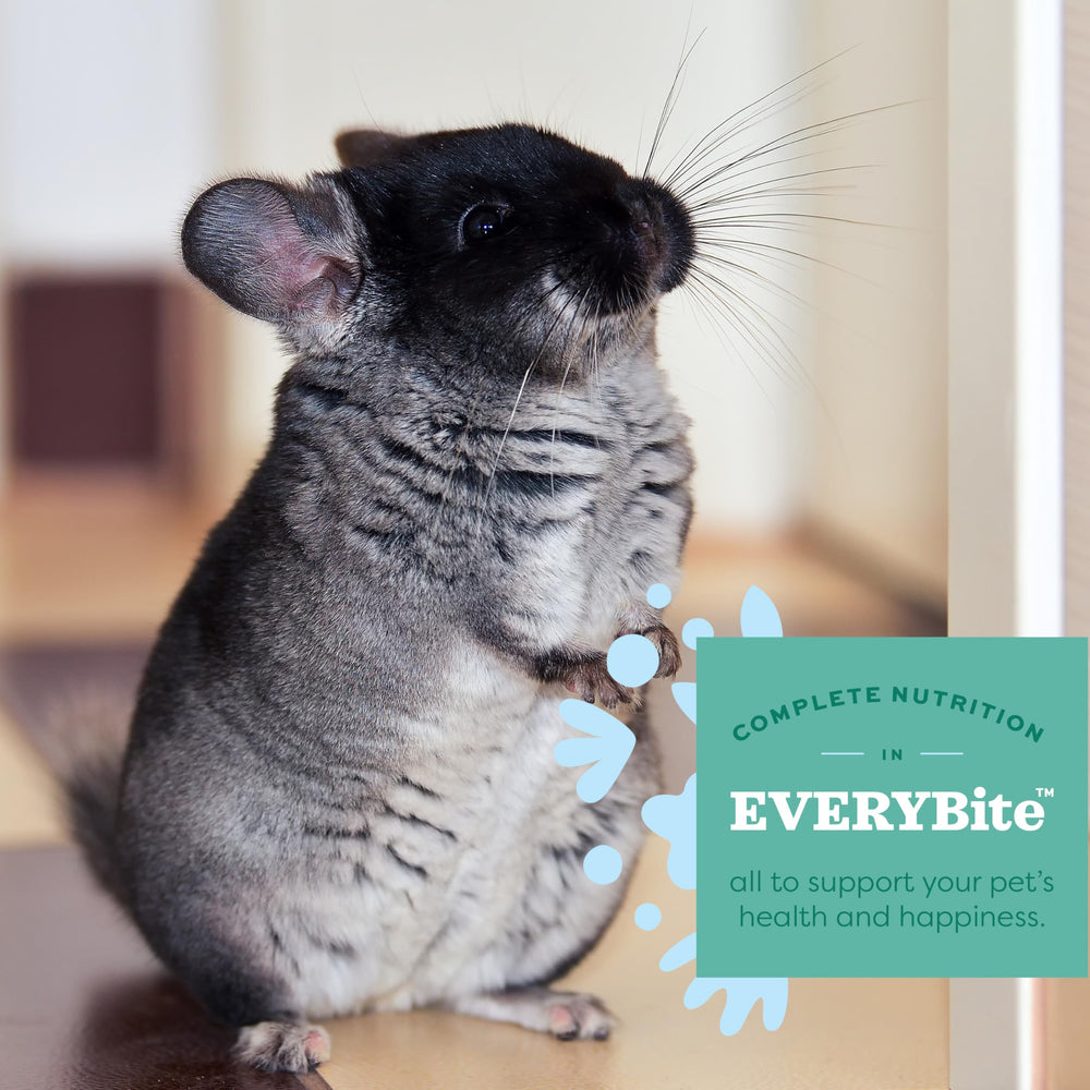Oxbow Essentials Chinchilla Food timothy-hay base closeup highlighting fiber for gut health.