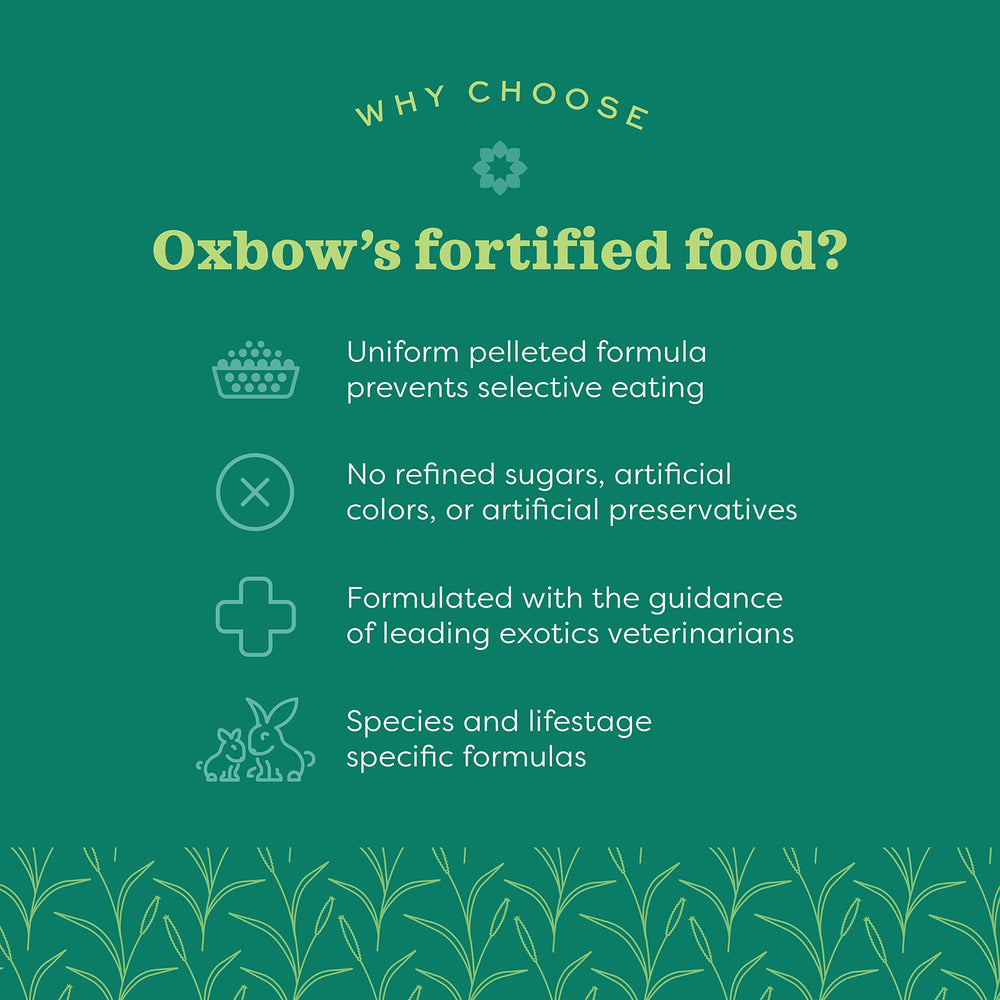 Oxbow Essentials Chinchilla Food vitamin-mineral fortification supports energy and immune balance.