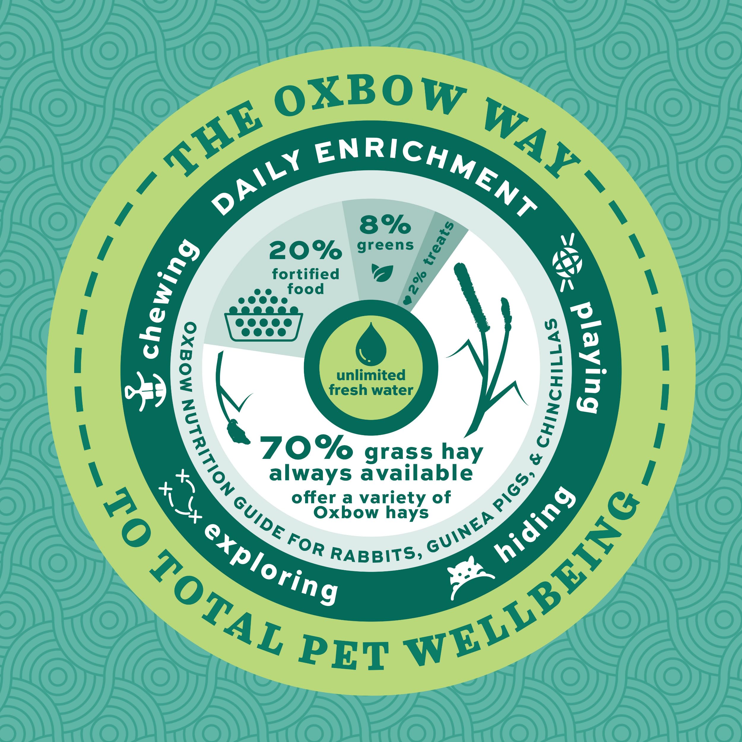 Oxbow Essentials feeding instruction graphic illustrates daily portions by weight.