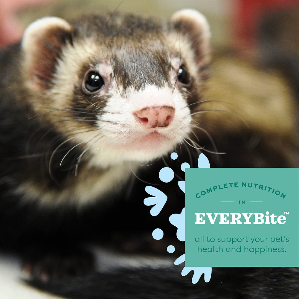 Oxbow Essentials Ferret Food packaging emphasizes omega fatty acids for skin and coat health.