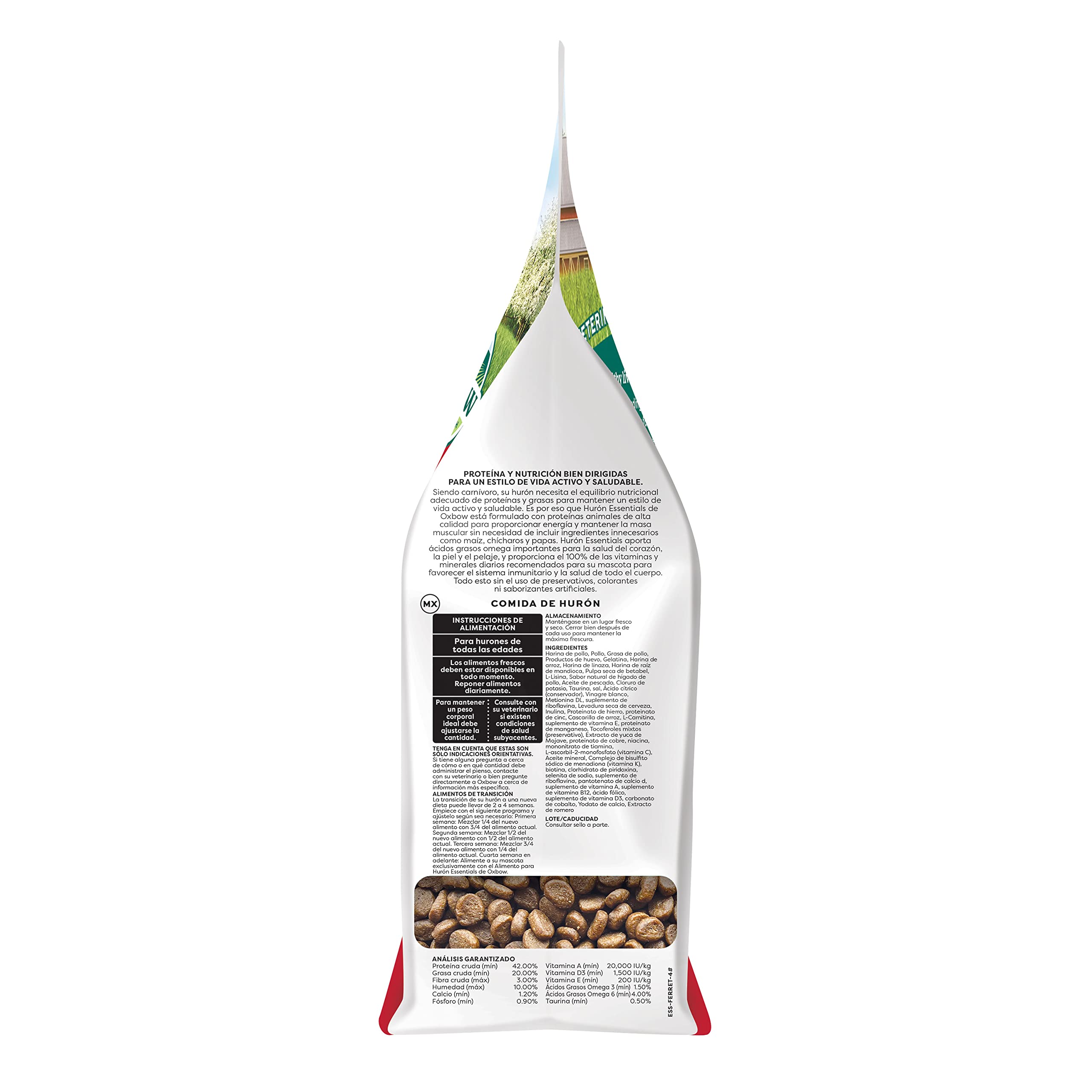 Kibble in a feeding bowl ready for daily meals, supporting steady energy.