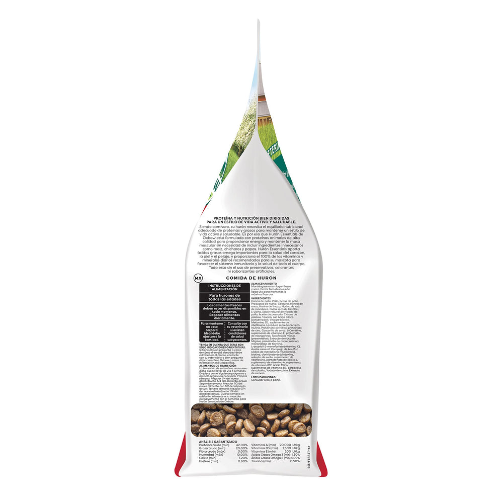 Kibble in a feeding bowl ready for daily meals, supporting steady energy.