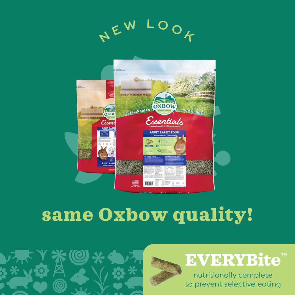 Oxbow Essentials grass hay varieties offer daily fiber options for rabbits.