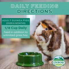Pellets from Oxbow Essentials in a dish for uniform intake