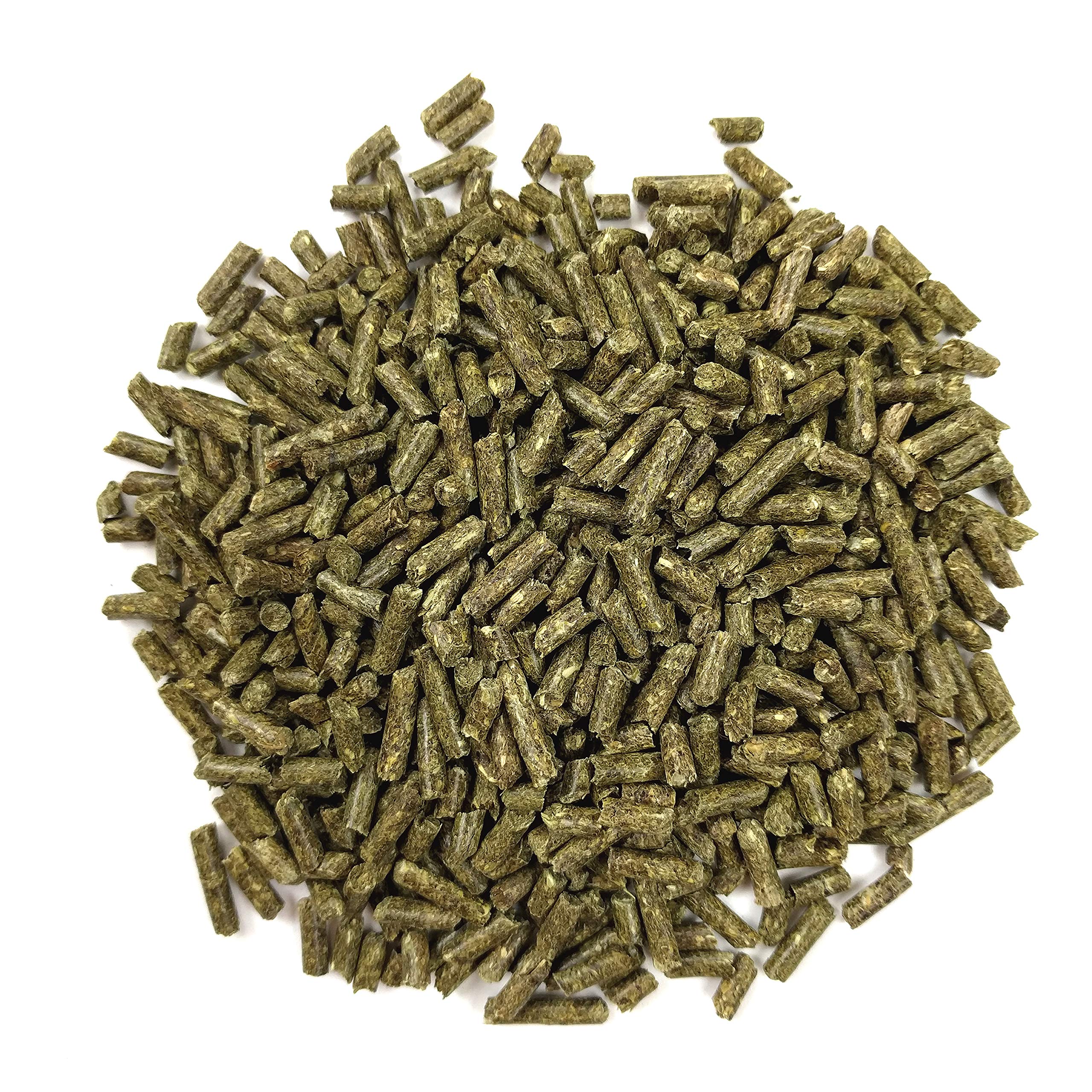 Oxbow Essentials high-fiber pellets support healthy digestion in young guinea pigs.