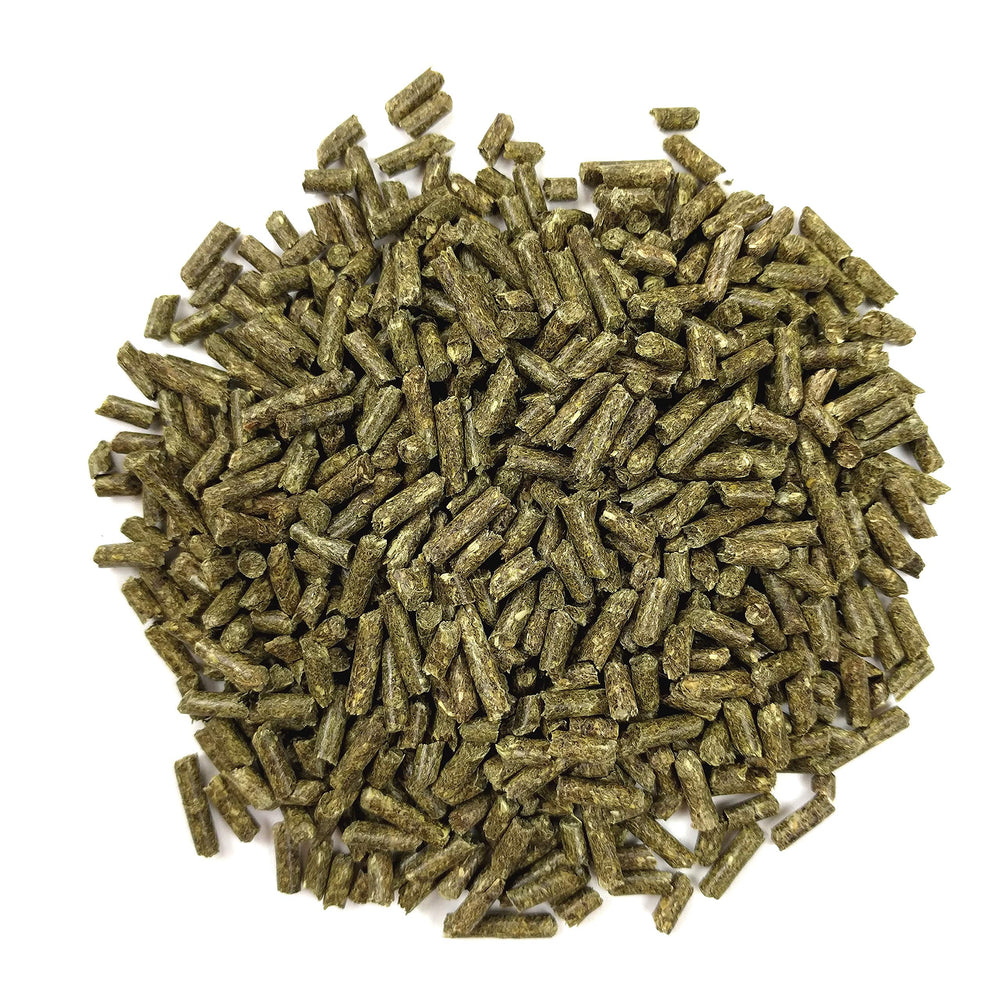 Oxbow Essentials high-fiber pellets support healthy digestion in young guinea pigs.