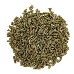 Oxbow Essentials high-fiber pellets support healthy digestion in young guinea pigs.