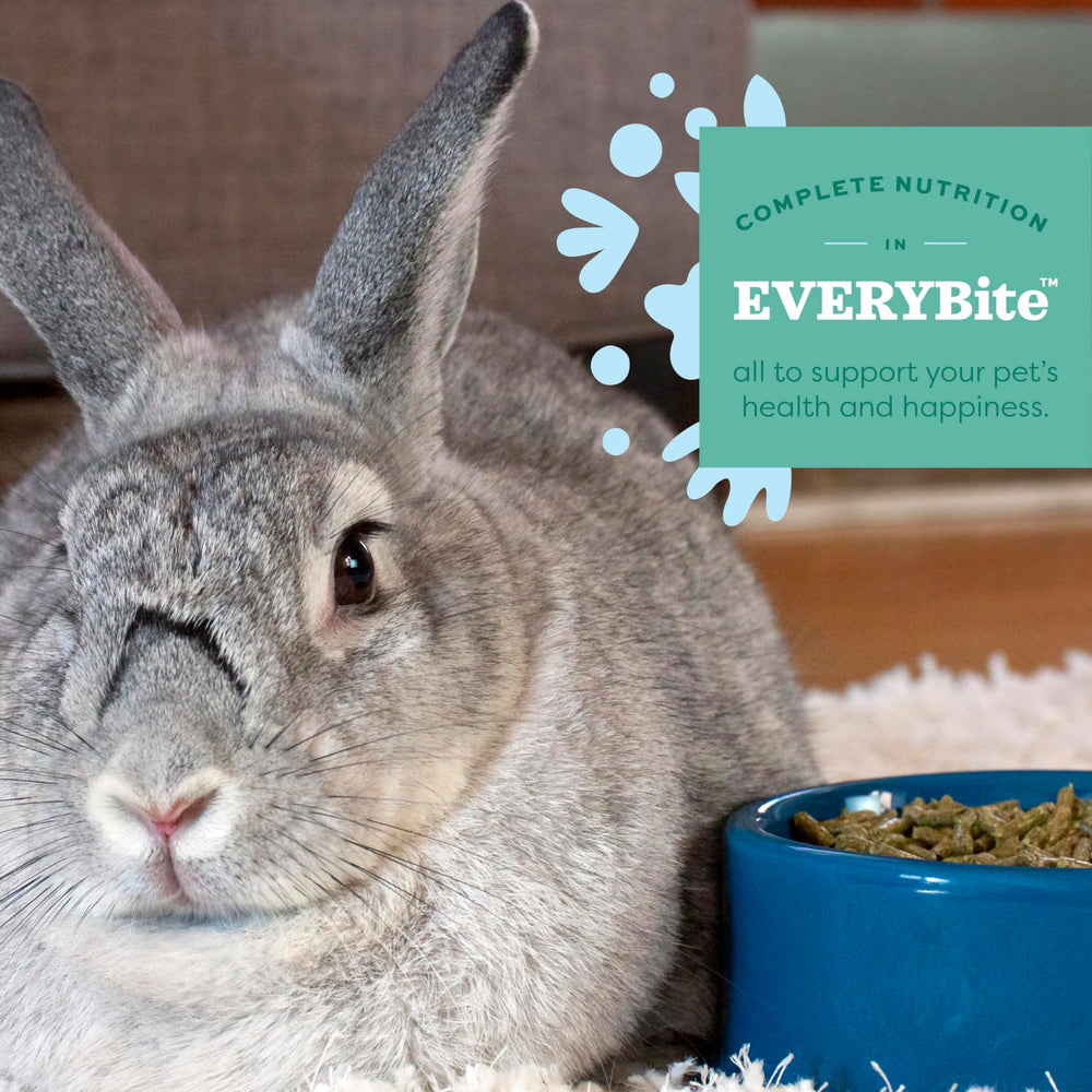 Oxbow Essentials high-fiber texture invites natural nibbling during meals.